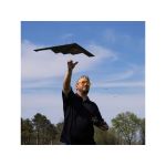 E-flite Micro B-2 Spirit Twin 30mm EDF BNF Basic