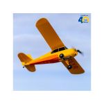 Hobbyzone Champ Anniversary Special Edition 515mm SAFE RTF