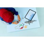 LEGO Creator - Divoký žralok a truhla s pokladem