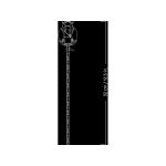 LEGO Botanicals - Kytice růžových růží