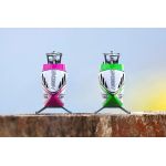 M2 V3 Sport - zelená