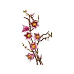 LEGO Botanicals - Větvičky magnólie