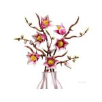 LEGO Botanicals - Větvičky magnólie