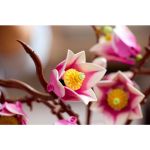 LEGO Botanicals - Větvičky magnólie