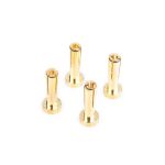 Works Team 4mm/G4 Gold zlaté konektory, délka 18mm, 4 ks