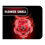 Revell Flowers - Dream of Roses