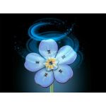 Revell Flowers - Blossom Festival