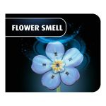 Revell Flowers - Blossom Festival