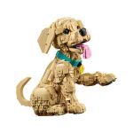 LEGO Icons - Štěně zlatého retrívra
