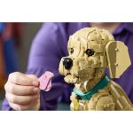 LEGO Icons - Štěně zlatého retrívra