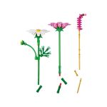 LEGO Botanicals - Krásenky