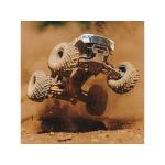 Arrma Gorgon 223S BLX DSC 2WD 1:10 RTR Freedom Flyer