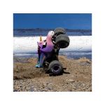 Losi Mini LMT 1:18 4WD RTR Sparkle Smash